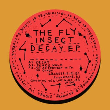 The Fly Insect – Decay EP record cover